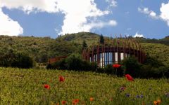 Clos Apalta Chilean by Birth Winery Image
