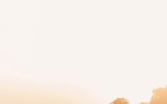 Chateau Petit Faurie de Soutard Chateau Petit Faurie de Soutard Winery Image