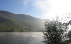 J.J. Prum Mosel Winery Image