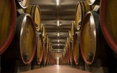 Rocca delle Macie Rocca delle Macie Cellar Winery Image