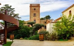 Domaine Lafage Mas Miraflors Winery Image