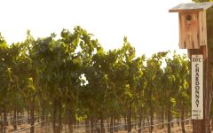 Bouchaine Vineyard Practices Winery Image