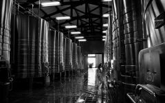 Clos de l'Esperance Winery Winery Image