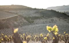 Hacienda Lopez de Haro Winery Image