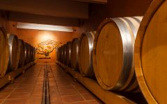 Chateau de Nalys The Cellar Winery Image