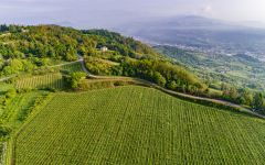 Pasqua Monte Calvarina Vineyard Winery Image