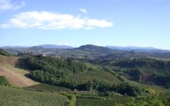 Roscato Winery Image
