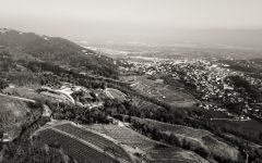 Jean-Luc Colombo Vineyards Winery Image