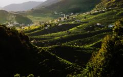 Bisol The Prosecco DOCG hills Winery Image