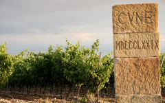 Cune Winery Image