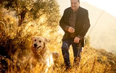 Jean-Luc Colombo Jean-Luc Colombo Winery Image