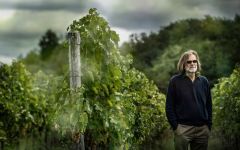 Marco Felluga Roberto Felluga Winery Image