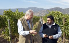 Los Vascos Winery Image