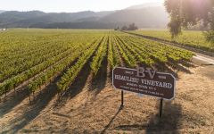 Beaulieu Vineyard Beaulieu Vineyard, Heart of Napa Winery Image
