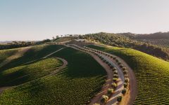 DAOU Family Estates  DAOU Mountain Winery Image