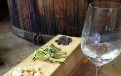 M. Chapoutier Gin Sothis Ingredients Winery Image