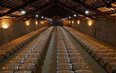Cune Winery Image