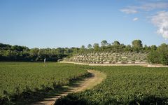 Peyrassol Winery Image