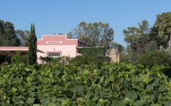 Castello Monaci Winery Image