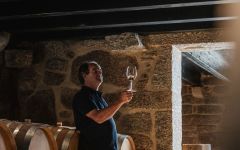 Mendes & Symington Anselmo Mendes in His Cellar Winery Image