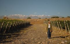 Susana Balbo Dominio Gualtallary Estate Winery Image