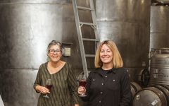 Pedroncelli Winery Dynamic Duo Winery Image