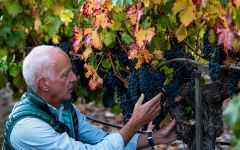 Textbook Founder Jonathan Pey Winery Image