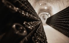 Canard-Duchene Cellar with Wall of Bottles Winery Image