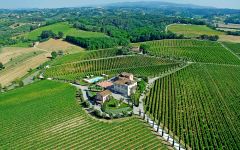 Tenuta di Ceppaiano Tenuta di Ceppaiano Winery Image