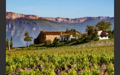 Villota Rioja Alavesa’s Mountains Winery Image