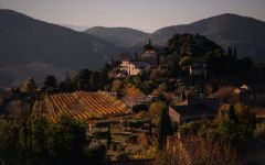 Bieler Home Winery Image