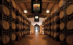 Castello Banfi Banfi Barrel Room Winery Image