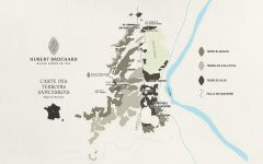 Domaine Hubert Brochard Map of Terroirs Winery Image