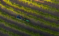 Twomey Harvest Winery Image