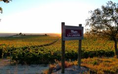 Bodegas Muga Winery Image