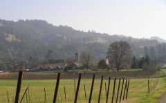 Scharffenberger Scharffenberger Vineyards Winery Image