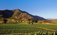 Terrunyo Peumo  Winery Image