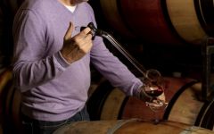RouteStock Routestoock Barrel Room  Winery Image