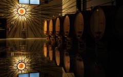 Tenuta Luce Tenuta Luce Cellar Winery Image