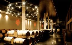 Duval-Leroy Winery Image