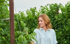 Candoni De Zan Rooted in the Vineyard Winery Image
