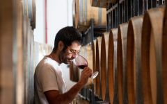 Herdade Do Esporao José Luis Moreira da Silva Winery Image