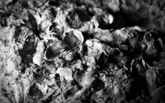 Domaine Laroche Kimmeridgian limestone Winery Image