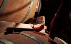 Tenuta Polvaro The Art of Aging Winery Image