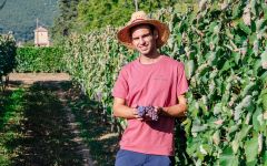 Troupis Winery  Theodore Koutsoumpos, Enologist Winery Image