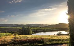 Val di Suga Val di Suga Lake and Vineyards Winery Image
