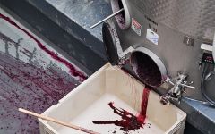 Lions Head Collection Careful Attention To The Grapes Winery Image