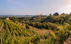 Zardetto Winery Image