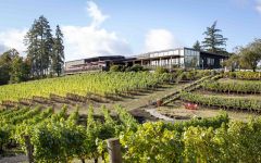 Elk Cove Vineyards Elk Cove Estate Winery Image