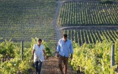Macanita Winemakers Anotnio & Joana Maçanita Winery Image
